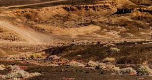 2026 WBC：日本队主帅井端弘和透露，球队将预留两个名额给春训表现抢眼的年轻新人