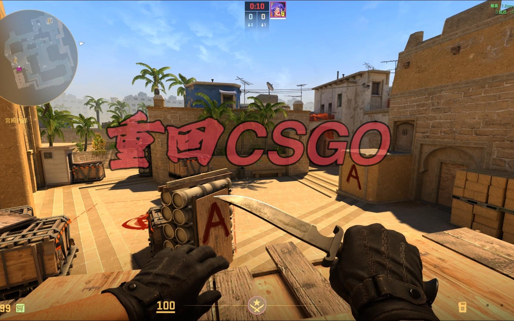 向于在老将 向于在老将