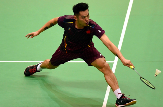 中可以看出 中可以看出